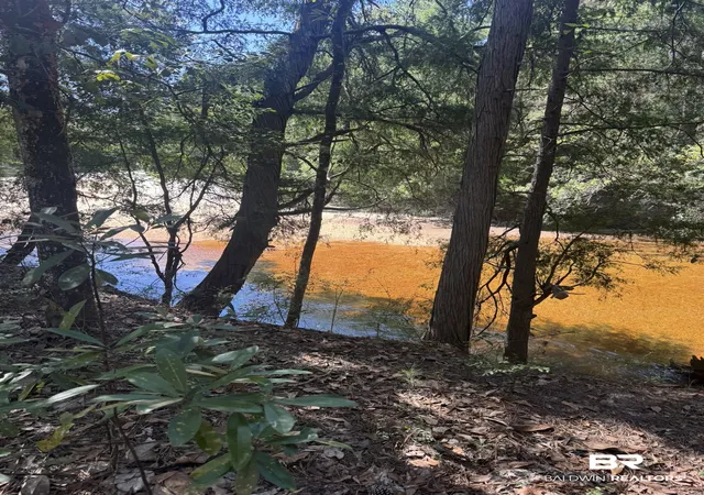Photo 2 of Land for sale at Lot 23 Crk Adventures Ln, Flomaton, AL 36441 | MLS# 411006 | Listing updated on 2026-09-24