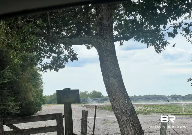 Photo 3 of Land for sale at 0 Old Pascagoula Rd, Grand Bay, AL 36541 | MLS# 410316 | Listing updated on 2026-09-10