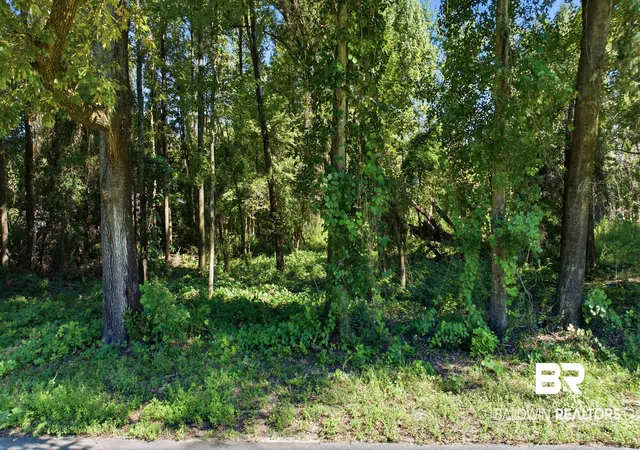 Photo 12 of Land for sale at 0 Mckinley Rd, Perdido, AL 36562 | MLS# 410500 | Listing updated on 2026-09-21