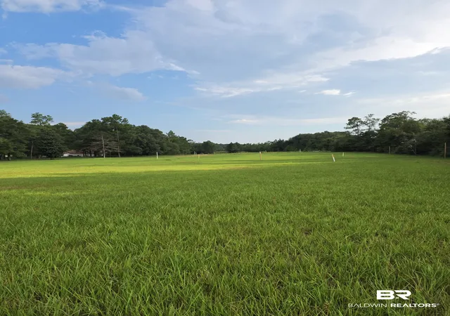 Photo 2 of Land for sale at 0 Grand Bay Wilmer Rd, Mobile, AL 36695 | MLS# 410963 | Listing updated on 2026-09-22