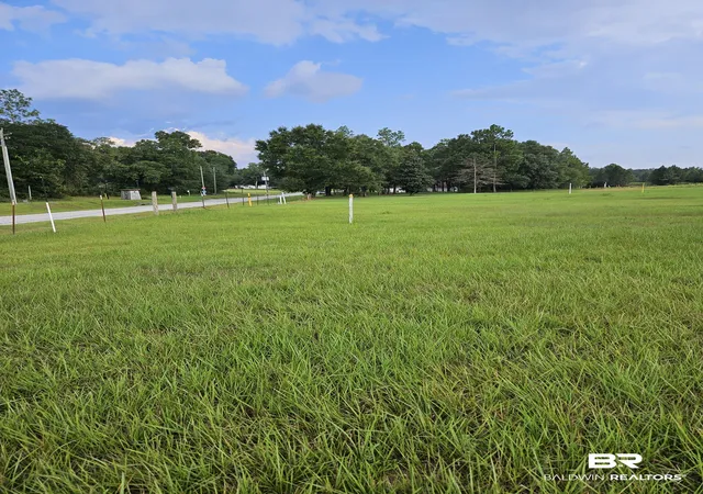 Photo 3 of Land for sale at 0 Grand Bay Wilmer Rd, Mobile, AL 36695 | MLS# 410963 | Listing updated on 2026-09-22