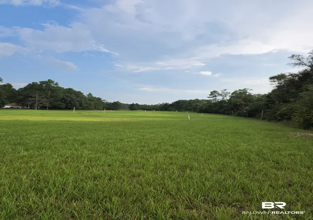 Photo 3 of Land for sale at 0 Grand Bay Wilmer Rd, Mobile, AL 36695 | MLS# 410963 | Listing updated on 2026-09-22