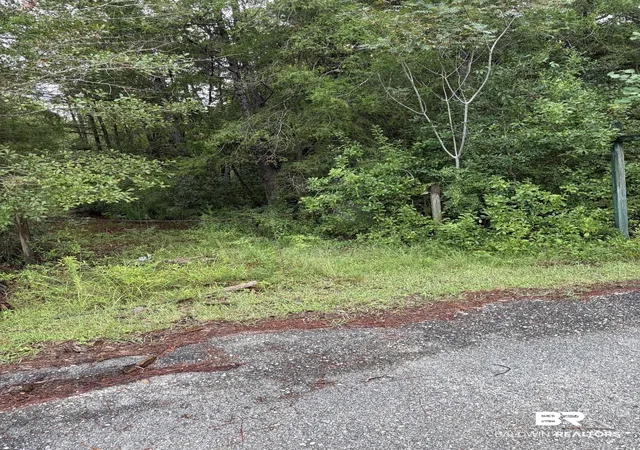 Land for sale at 0 Juniper Rd, Seminole, AL 36574 | MLS# 409968
