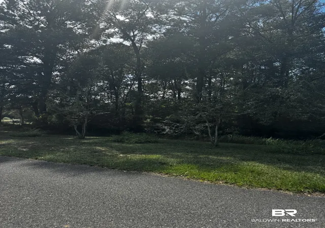 Photo 3 of Land for sale at 7 Beckham Ct #LOT 7, Mount Vernon, AL 36560 | MLS# 409865 | Listing updated on 2026-09-15