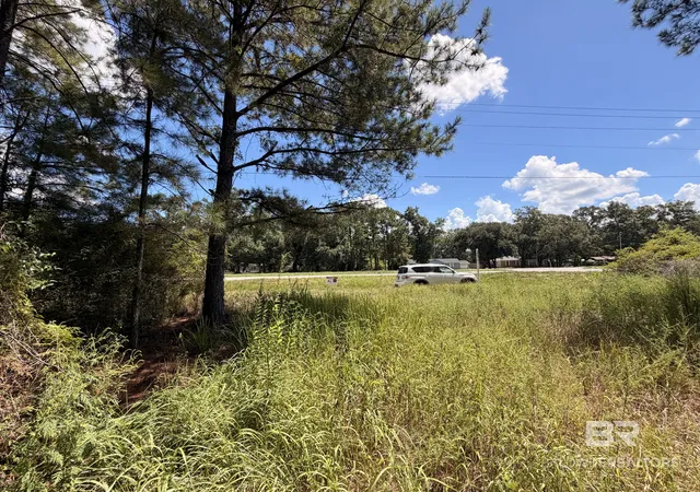 Photo 3 of Land for sale at 0 Snow Rd, Mount Vernon, AL 36560 | MLS# 411666 | Listing updated on 2026-10-05