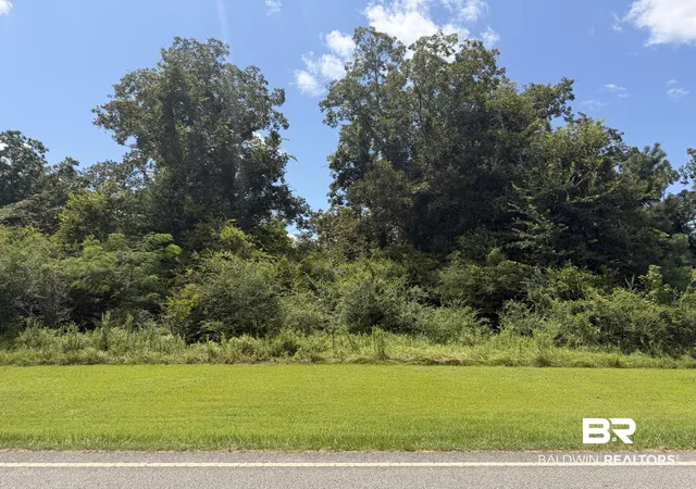 Land for sale at Lot 2 Highway 99, Mc David, FL 32568 | MLS# 407453