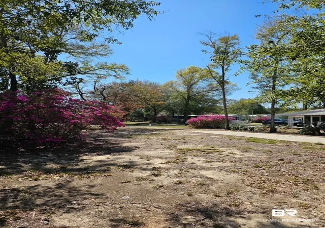 Photo 2 of Land for sale at 1696 Santa Cruz Dr, Lillian, AL 36549 | MLS# 410954 | Listing updated on 2026-09-23
