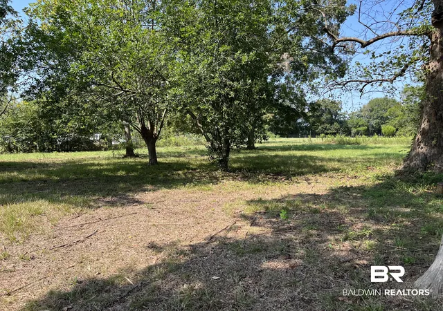 Photo 4 of Single family home for sale at 91 Oak Grv Rd, Frisco City, AL 36445 | MLS# 410919 | Listing updated on 2026-09-21