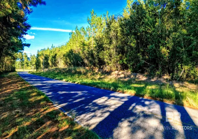 Photo 2 of Land for sale at 0 Nathan Jordan Rd, Millry, AL 36558 | MLS# 411361 | Listing updated on 2026-10-01