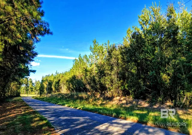 Photo 3 of Land for sale at 0 Nathan Jordan Rd, Millry, AL 36558 | MLS# 411361 | Listing updated on 2026-10-01