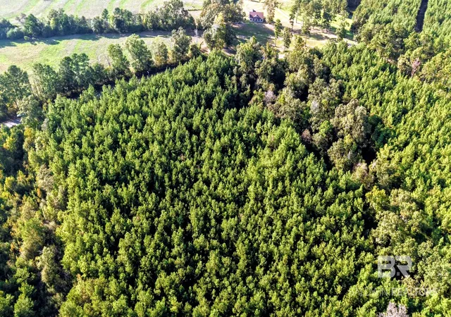 Photo 54 of Land for sale at 0 Nathan Jordan Rd, Millry, AL 36558 | MLS# 411361 | Listing updated on 2026-10-01