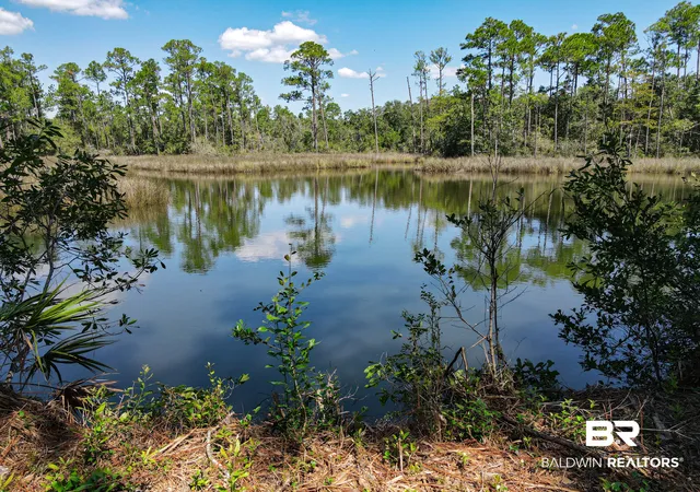 Photo 1 of Land for sale at 0 Neumann Dr, Elberta, AL 36530 | MLS# 411041 | Listing updated on 2026-09-22