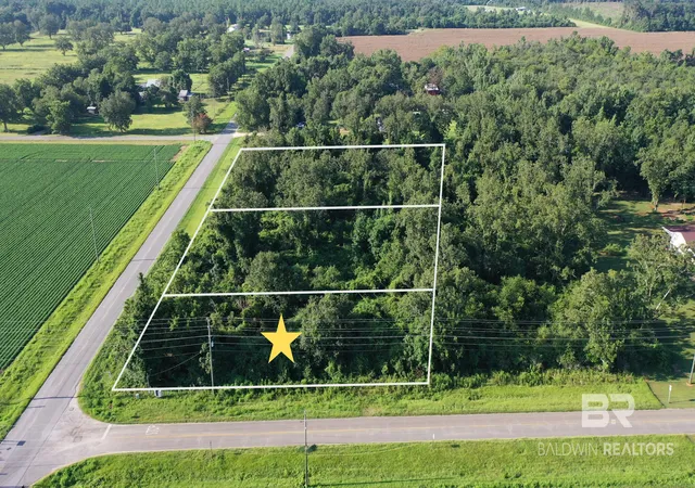 Photo 4 of Land for sale at Lot 1 Hwy 99 A, Walnut Hill, FL 32568 | MLS# 411797 | Listing updated on 2026-10-08