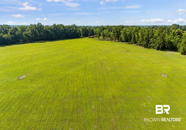 Photo 2 of Land for sale at 17846 County Rd 34 S, Summerdale, AL 36580 | MLS# 409524 | Listing updated on 2026-09-05