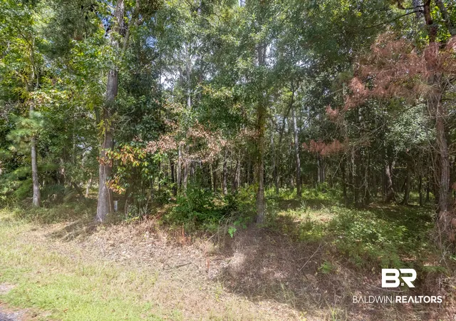 Photo 4 of Land for sale at 9620 Beach Rd, Foley, AL 36535 | MLS# 410469 | Listing updated on 2026-09-21