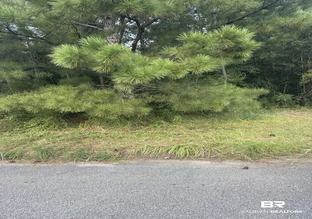 Photo 1 of Land for sale at 0 Creekwood Pl, Mobile, AL 36695 | MLS# 410652 | Listing updated on 2026-09-14