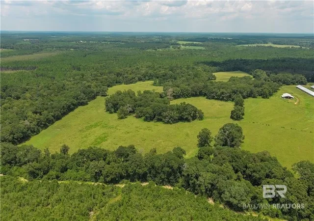 Photo 1 of Land for sale at 0 Cir R Farm Dr, Florala, AL 36442 | MLS# 411694 | Listing updated on 2026-10-15
