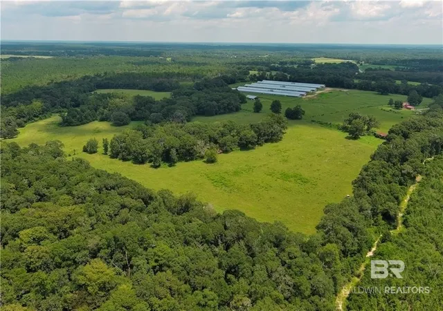 Photo 3 of Land for sale at 0 Cir R Farm Dr, Florala, AL 36442 | MLS# 411694 | Listing updated on 2026-10-15