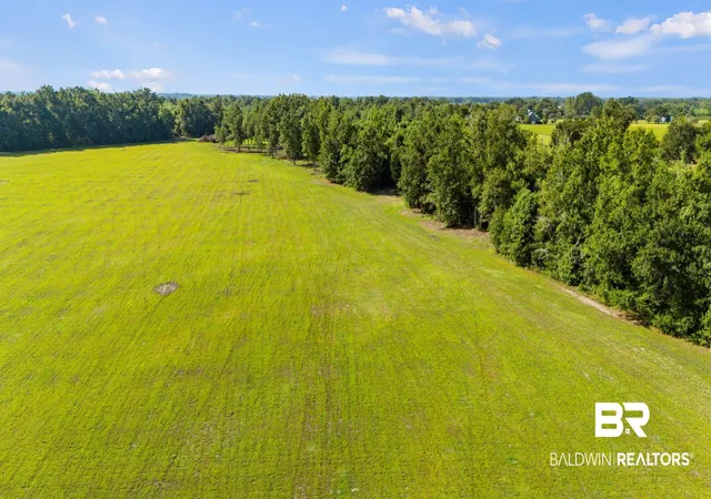 Photo 2 of Land for sale at 17832 County Rd 34 S, Summerdale, AL 36580 | MLS# 409523 | Listing updated on 2026-09-05