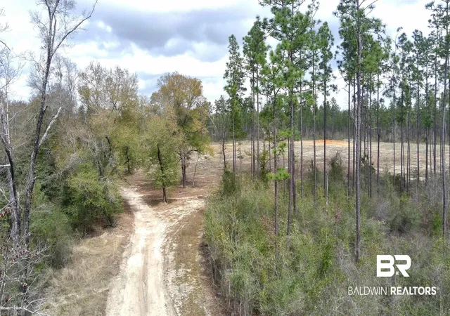 Photo 2 of Sale Pending at 0 Paul Rd, Perdido, AL 36562 | MLS# 410860 | Listing updated on 2026-10-06