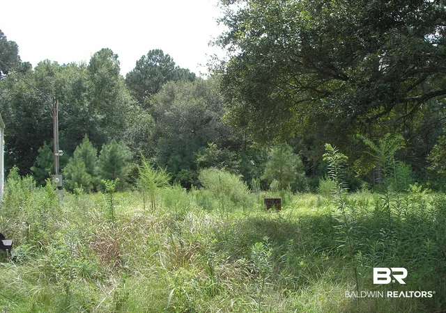 Photo 3 of Sale Pending at 9451 N Creekside Dr #Lot 79, Irvington, AL 36544 | MLS# 409530 | Listing updated on 2026-09-18