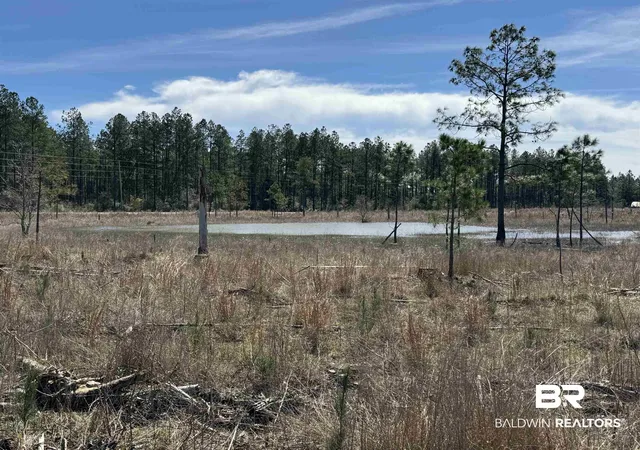 Photo 3 of Land for sale at 1 County Rd 64, Robertsdale, AL 36567 | MLS# 410499 | Listing updated on 2026-09-10