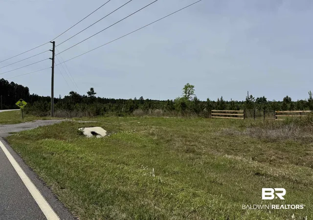 Photo 3 of Land for sale at 1 County Rd 64, Robertsdale, AL 36567 | MLS# 410499 | Listing updated on 2026-09-10