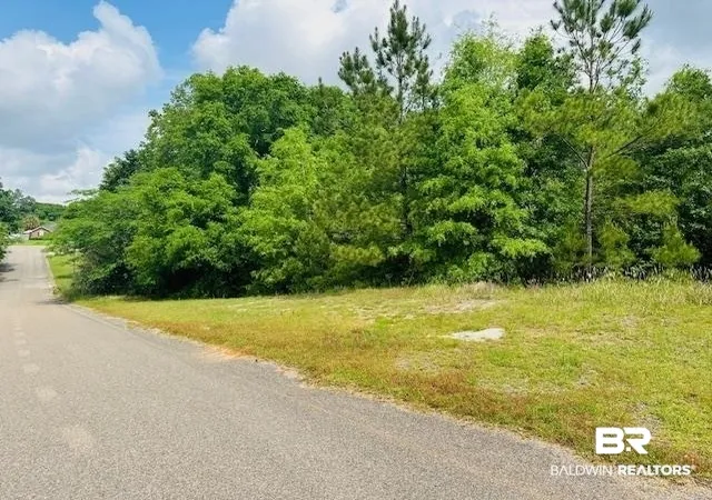 Photo 3 of Land for sale at Lot 25 Haley Dr, Mobile, AL 36618 | MLS# 410567 | Listing updated on 2026-09-11