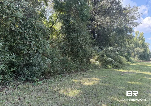 Photo 3 of Land for sale at 20500 Block Hwy 31, Flomaton, AL 36441 | MLS# 410884 | Listing updated on 2026-10-01