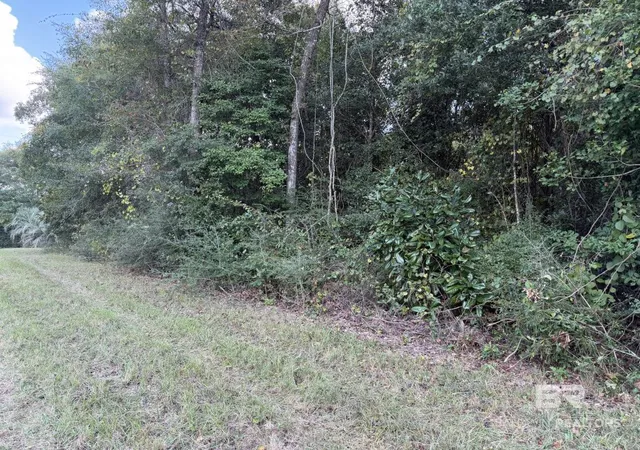 Photo 3 of Land for sale at 20500 A Block Us Hwy 31, Flomaton, AL 36441 | MLS# 411495 | Listing updated on 2026-10-02
