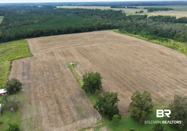 Photo 1 of Land for sale at 7400 Mcelhaney Rd, Century, FL 32535 | MLS# 411186 | Listing updated on 2026-10-23