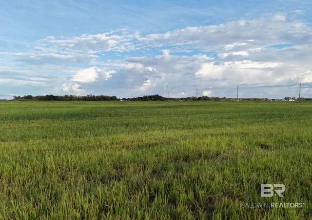 Photo 1 of Land for sale at 0 County Rd 65 Lot, Foley, AL 36535 | MLS# 399249 | Listing updated on 2026-10-06