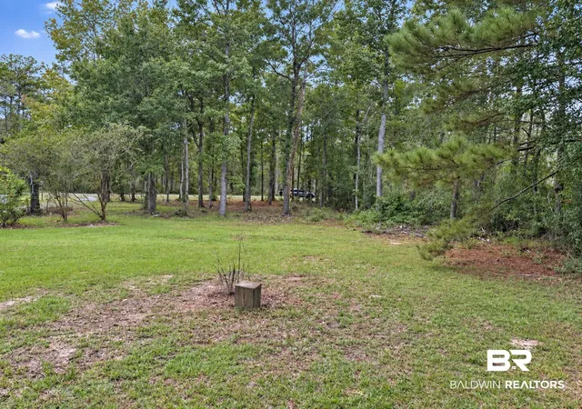 Photo 3 of Land for sale at 0 Denny St, Mount Vernon, AL 36560 | MLS# 410628 | Listing updated on 2026-09-16