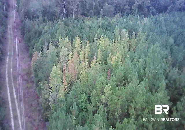 Photo 1 of Land for sale at 00 Hwy 31 Unnamed, Evergreen, AL 36401 | MLS# 410354 | Listing updated on 2026-09-12