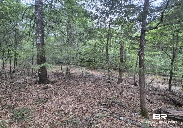 Photo 2 of Land for sale at 00 Hwy 31 Unnamed, Evergreen, AL 36401 | MLS# 410354 | Listing updated on 2026-09-12