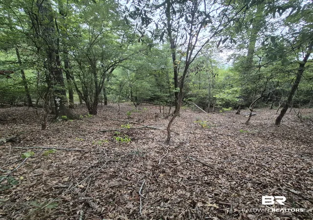 Photo 3 of Land for sale at 00 Hwy 31 Unnamed, Evergreen, AL 36401 | MLS# 410354 | Listing updated on 2026-09-12