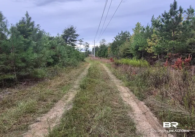 Photo 3 of Land for sale at 00 Hwy 31 Unnamed, Evergreen, AL 36401 | MLS# 410354 | Listing updated on 2026-09-12
