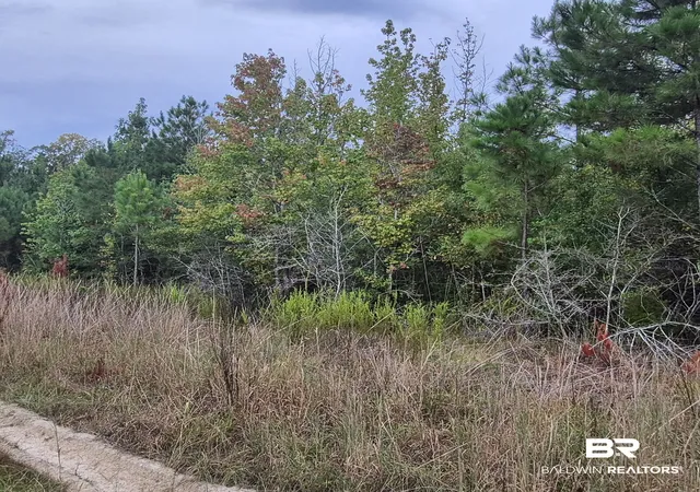 Photo 4 of Land for sale at 00 Hwy 31 Unnamed, Evergreen, AL 36401 | MLS# 410354 | Listing updated on 2026-09-12
