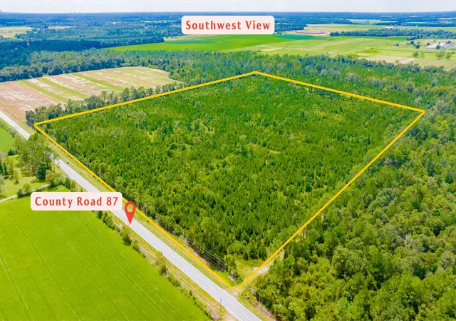 Photo 1 of Sale Pending at 0 Co Rd 87, Elberta, AL 36530 | MLS# 410402 | Listing updated on 2026-09-28