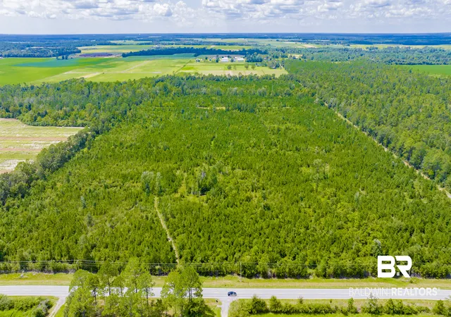 Photo 3 of Sale Pending at 0 Co Rd 87, Elberta, AL 36530 | MLS# 410402 | Listing updated on 2026-09-28