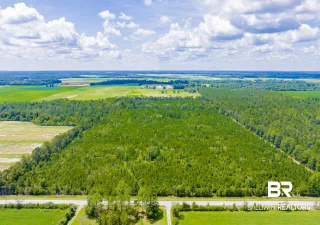 Photo 3 of Sale Pending at 0 Co Rd 87, Elberta, AL 36530 | MLS# 410402 | Listing updated on 2026-09-28