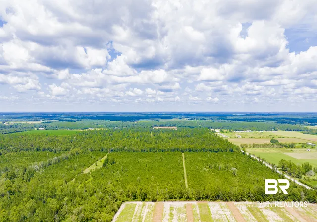 Photo 4 of Sale Pending at 0 Co Rd 87, Elberta, AL 36530 | MLS# 410402 | Listing updated on 2026-09-28