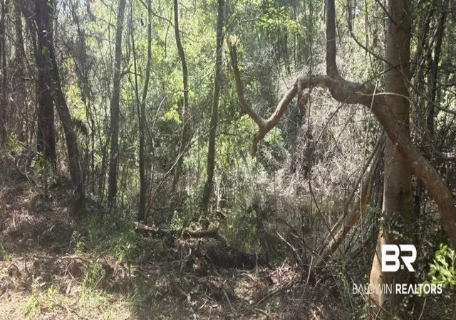 Photo 2 of Land for sale at 21373 Ima Brill Loop, Robertsdale, AL 36567 | MLS# 409991 | Listing updated on 2026-09-23