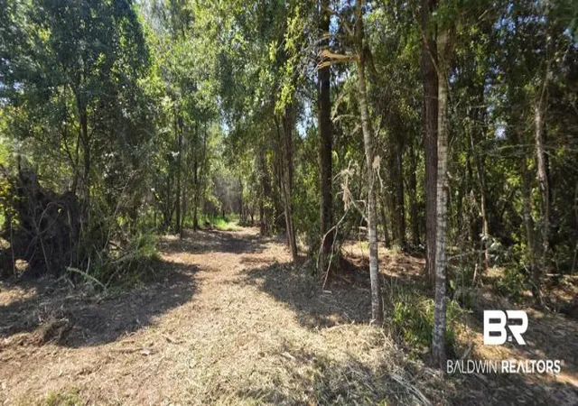 Photo 3 of Land for sale at 21373 Ima Brill Loop, Robertsdale, AL 36567 | MLS# 409991 | Listing updated on 2026-09-23
