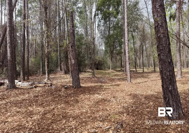 Photo 3 of Land for sale at 0 Wolf Bay Dr, Foley, AL 36535 | MLS# 393494 | Listing updated on 2026-09-11