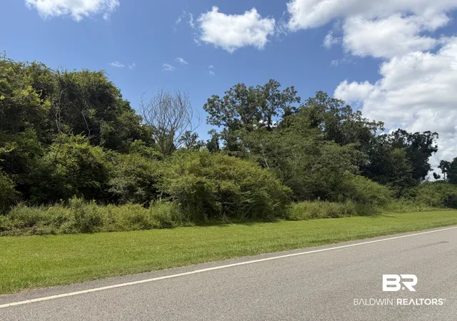 Land for sale at Lot 3 Highway 99, Mc David, FL 32568 | MLS# 407456