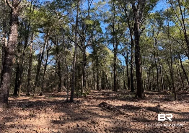 Photo 2 of Land for sale at 0 Danner Rd, Wilmer, AL 36587 | MLS# 407714 | Listing updated on 2026-09-15