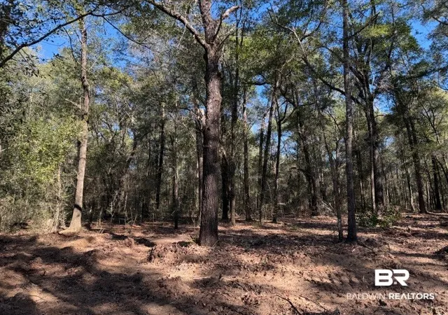 Photo 3 of Land for sale at 0 Danner Rd, Wilmer, AL 36587 | MLS# 407714 | Listing updated on 2026-09-15