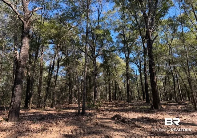 Photo 3 of Land for sale at 0 Danner Rd, Wilmer, AL 36587 | MLS# 407714 | Listing updated on 2026-09-15