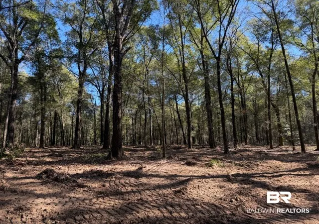 Photo 4 of Land for sale at 0 Danner Rd, Wilmer, AL 36587 | MLS# 407714 | Listing updated on 2026-09-15